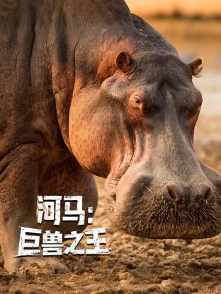 河马巨兽之王