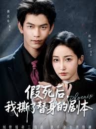 假死后我撕了替身的剧本替身掉马后傅爷连夜清算