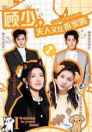 顾少夫人又在拆家啦